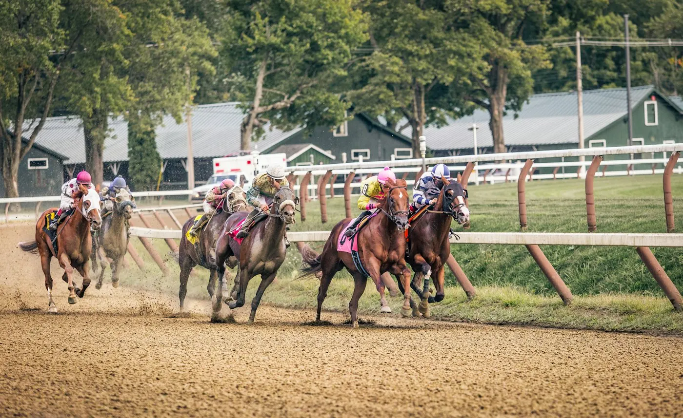 Racehorses on a dirt track
