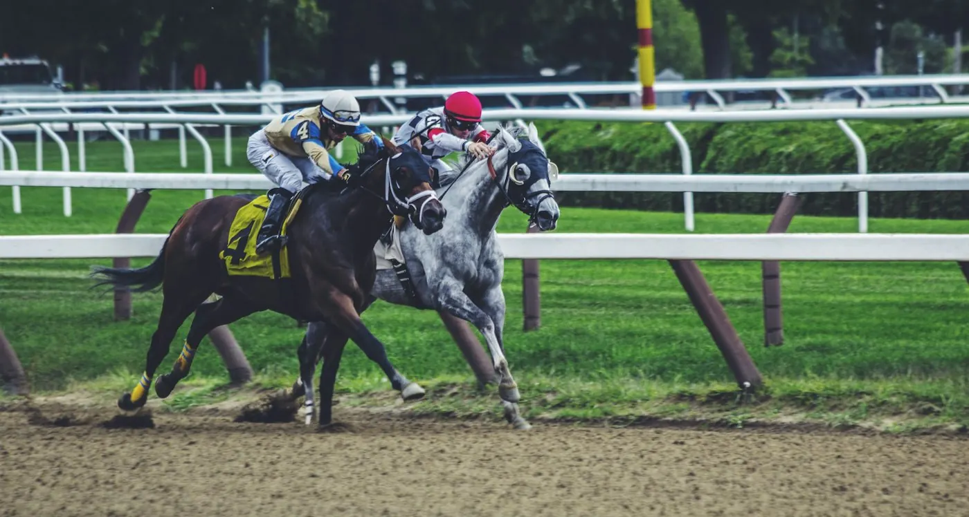 Two racehorses side by side