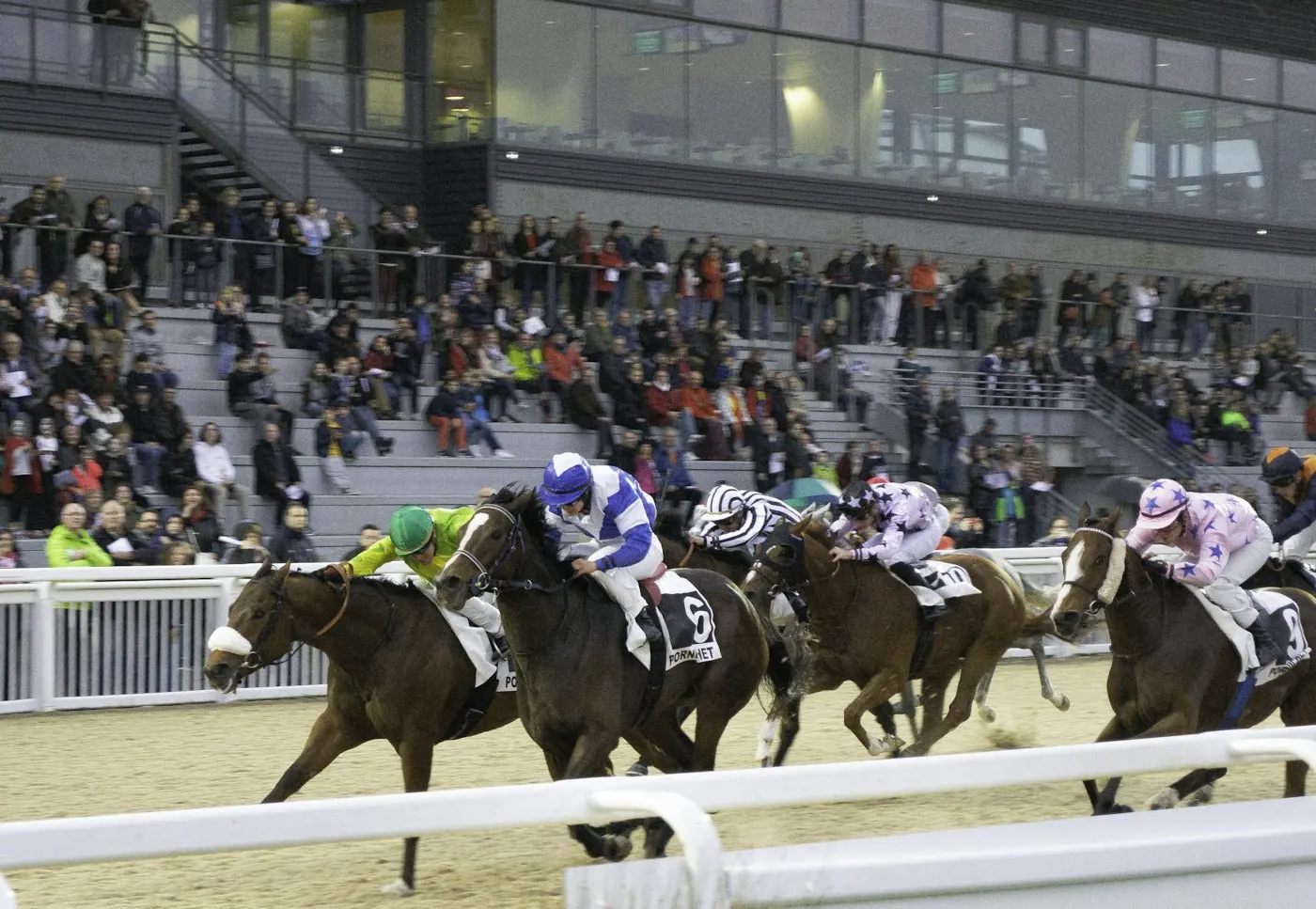 Crowd in a grandstand watching a race