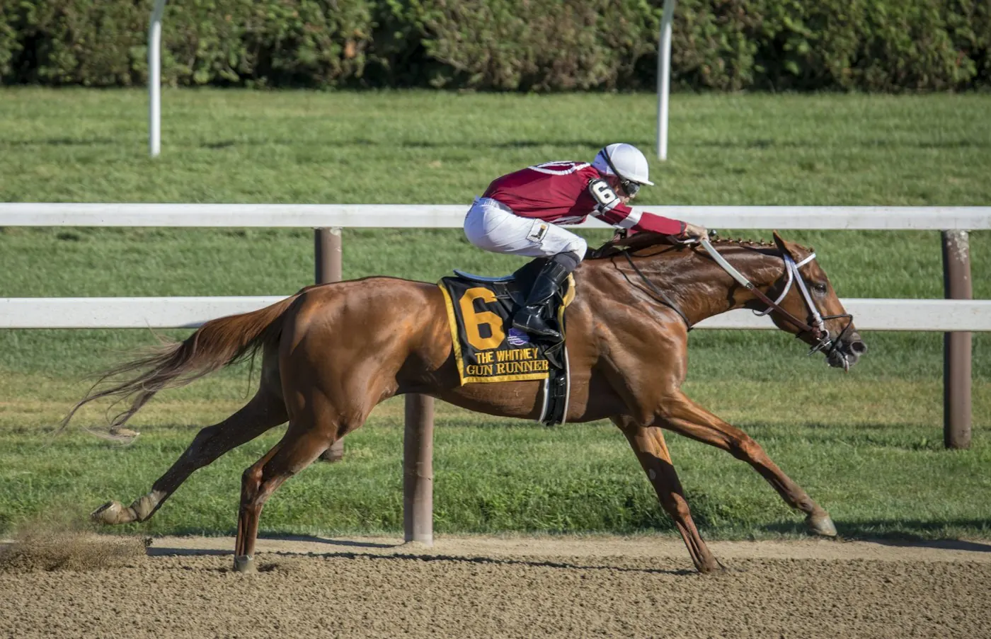 A jockey riding a racehorse along the rail