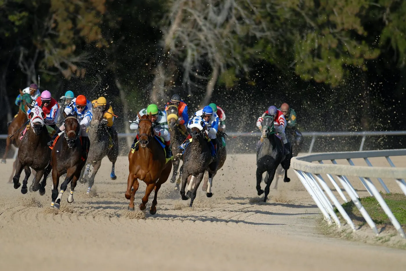 Horses bunched together on a turn