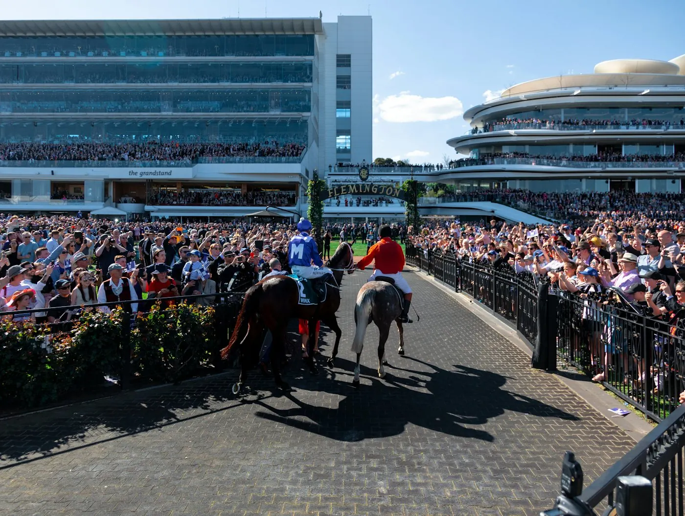 Racegoers lining the walk as horses head to the track